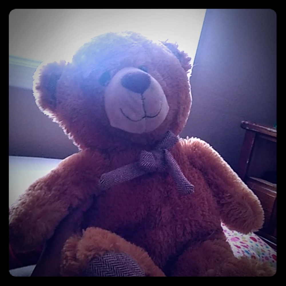 Bear 🐻